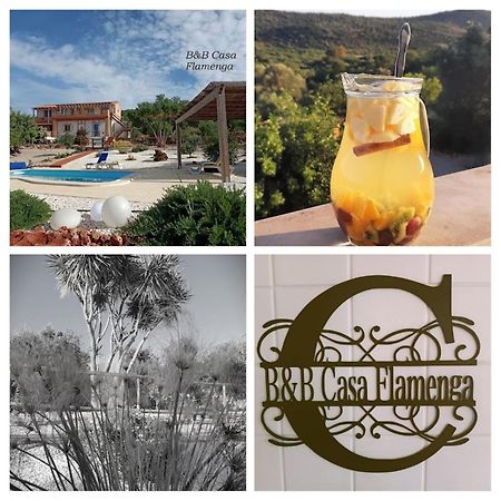 B&B Casa Flamenga Alte Dış mekan fotoğraf
