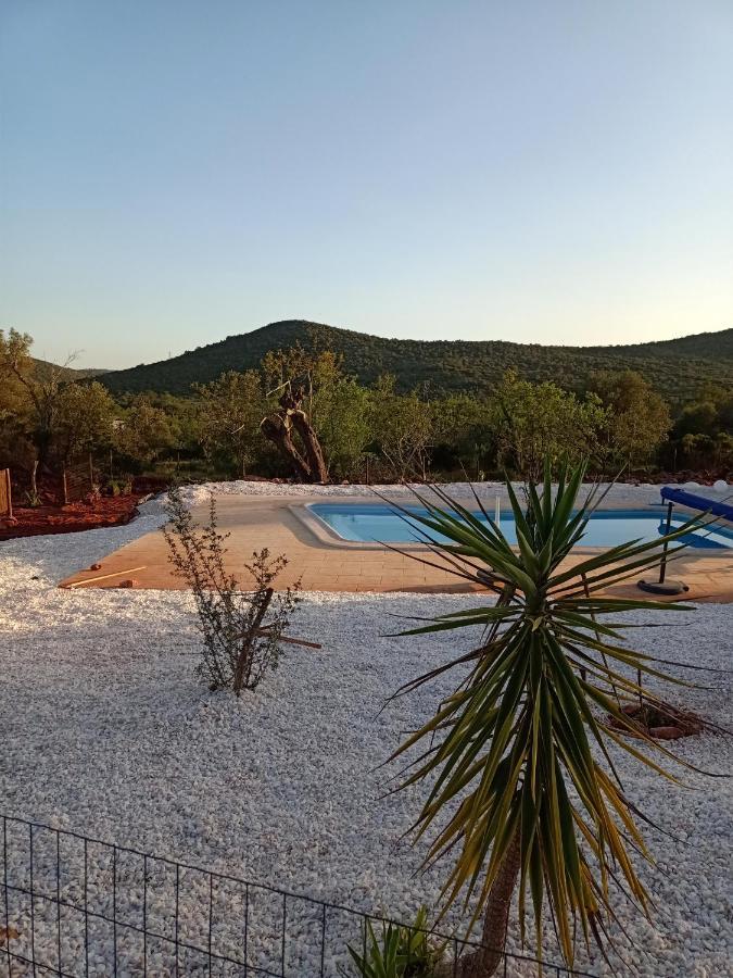 B&B Casa Flamenga Alte Dış mekan fotoğraf
