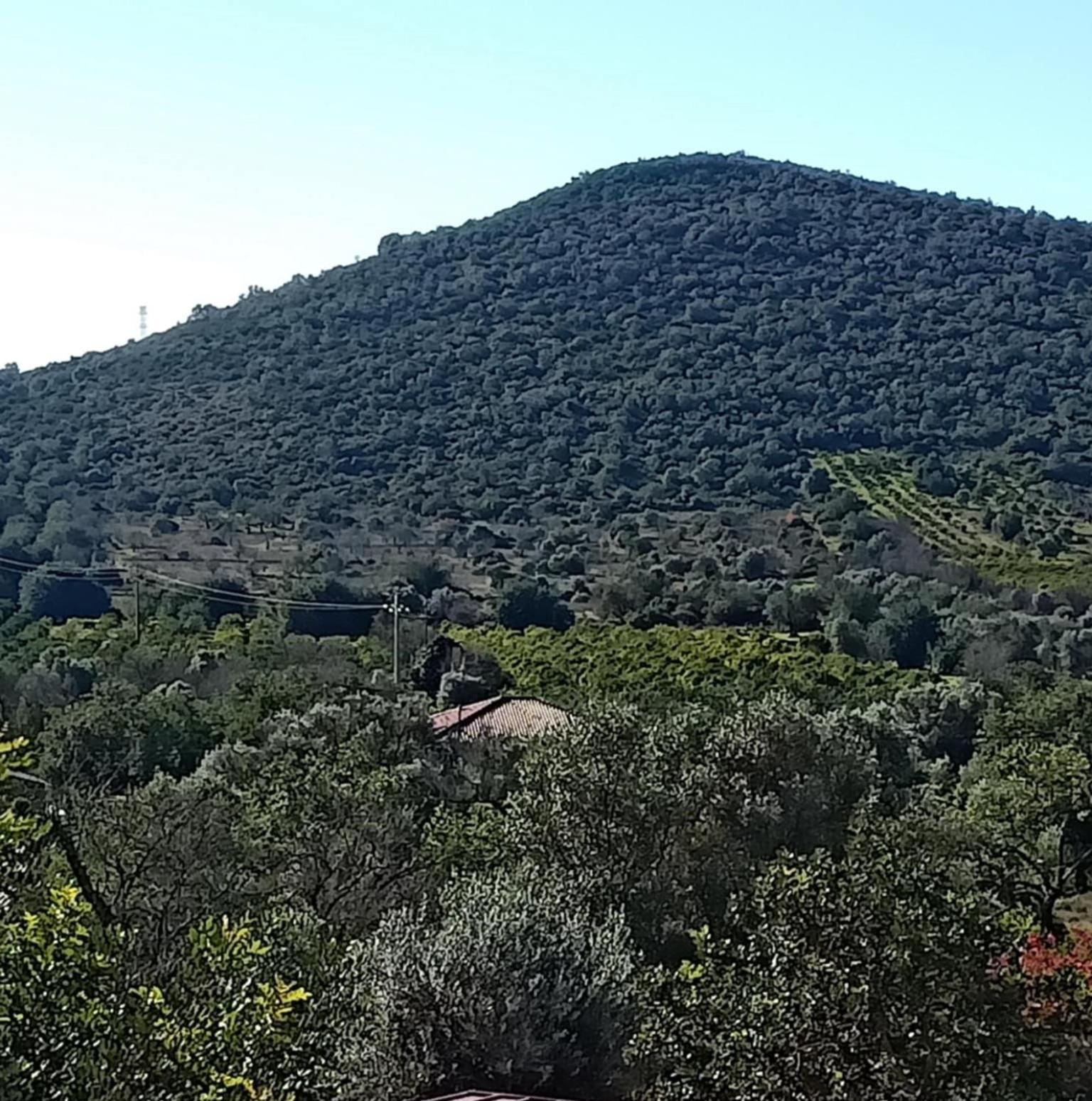 B&B Casa Flamenga Alte Dış mekan fotoğraf